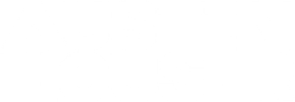 Austin Houser